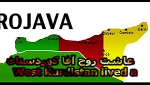 rogava_300