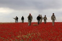 syriarebelswalkflowersrtr3kz4i198x132_198_01